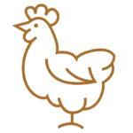 noun-chicken-1016531-A66F2E