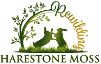 Harestone Moss Rewilding